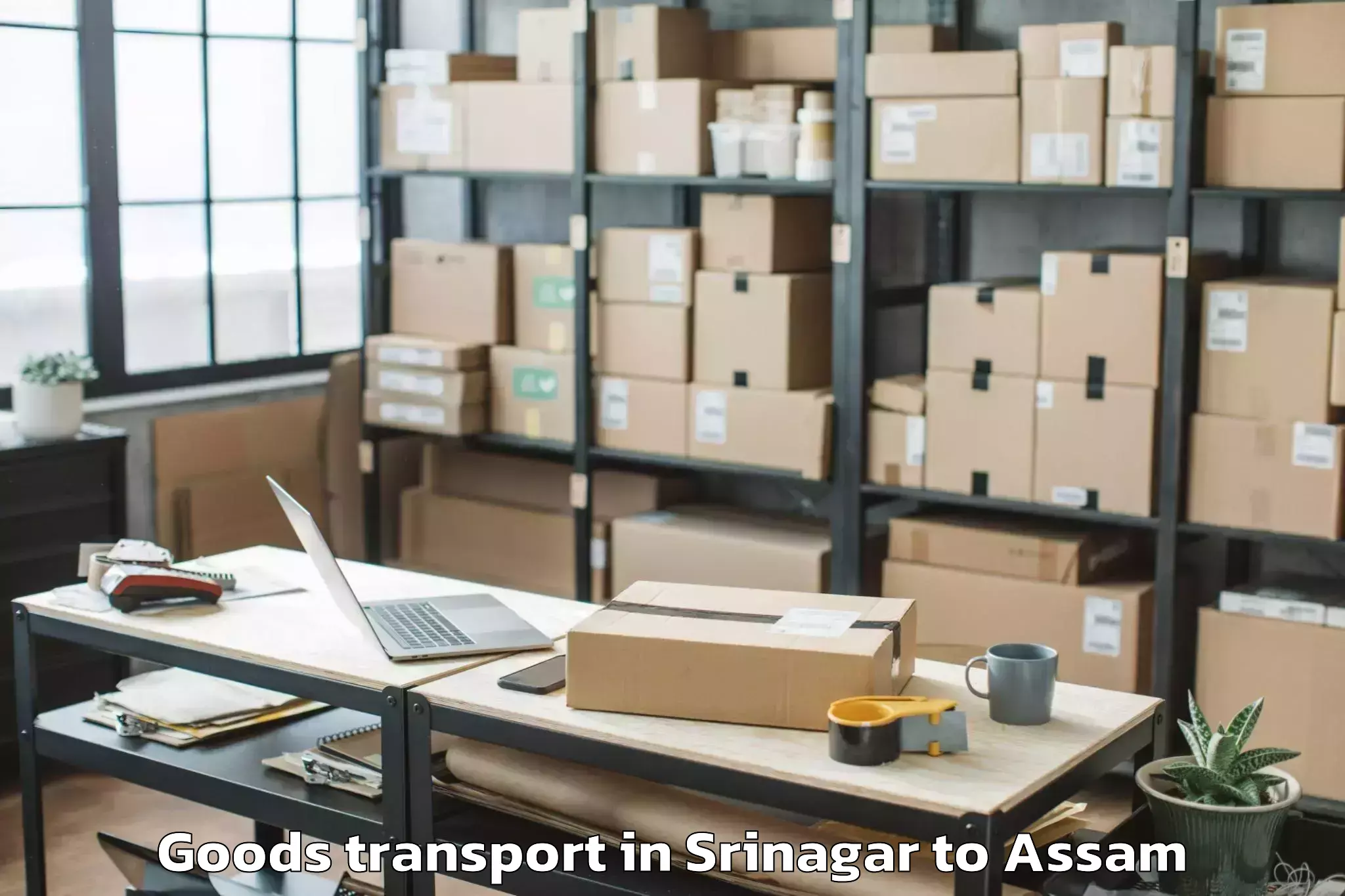 Reliable Srinagar to Abhilashi University Silchar Goods Transport